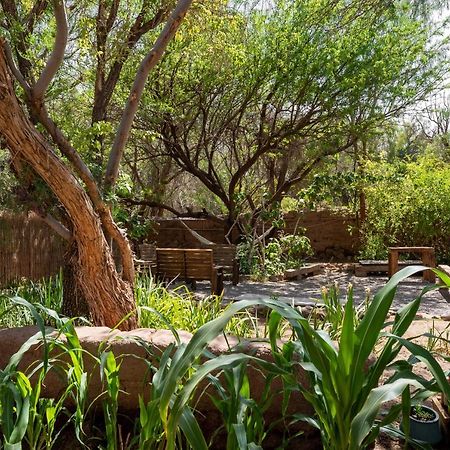Vientos - La Yareta Guest House Сан Педро де Атакама Екстериор снимка